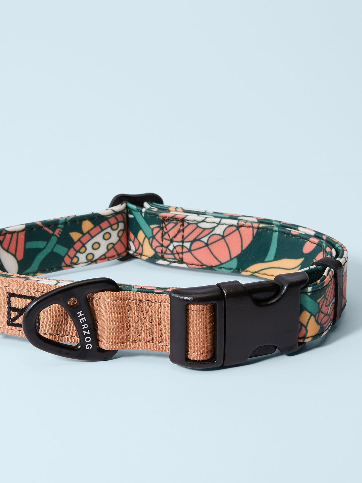 Artist Series Dog Collar
