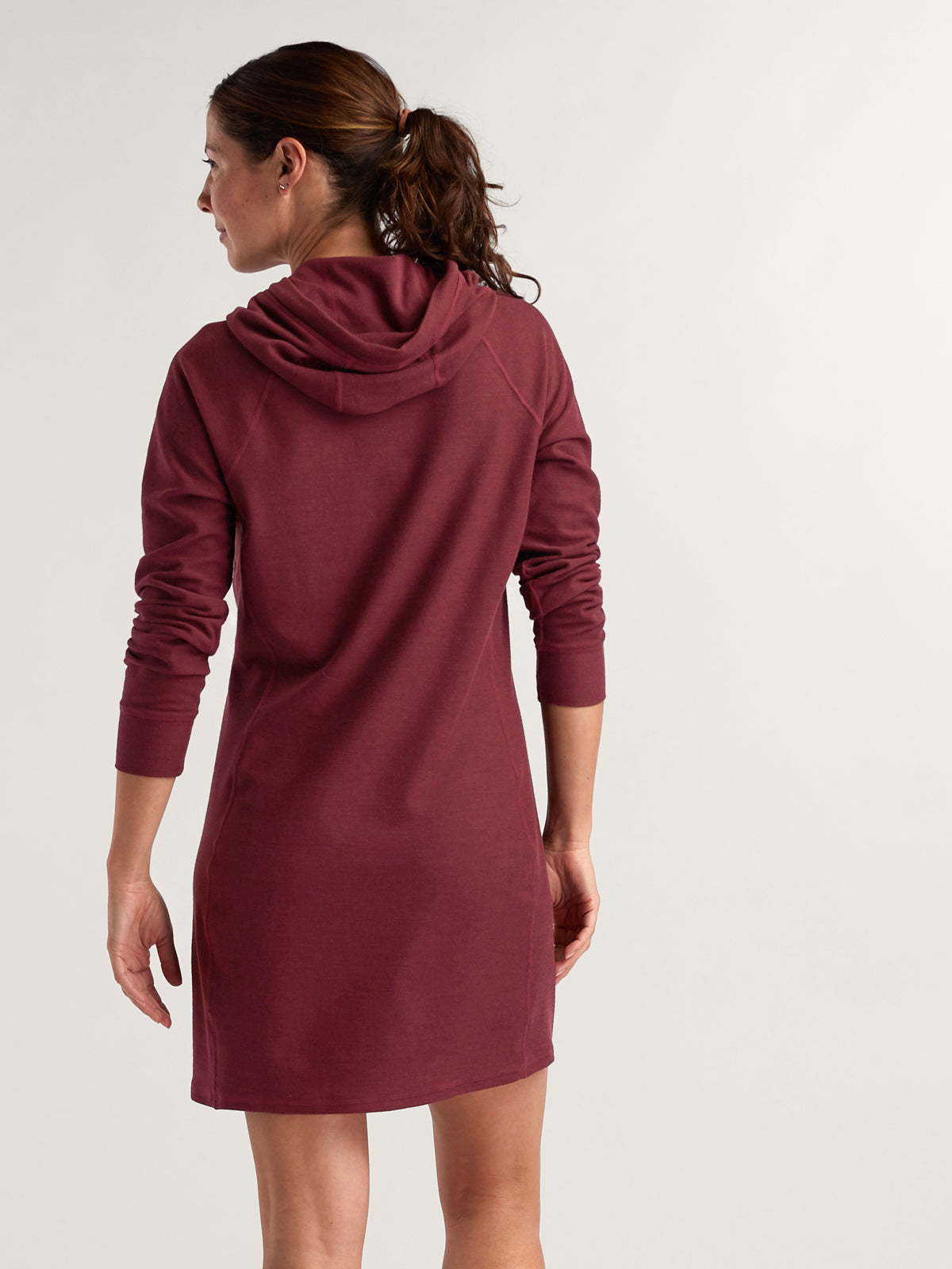 Hibernation Raglan Hoodie Dress