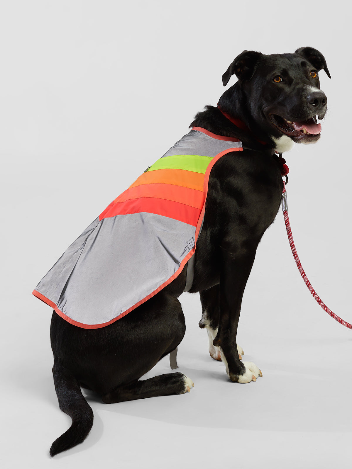 Luna Reflective Dog Coat