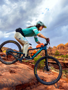 Patagonia Dirt Craft Pants all-groups