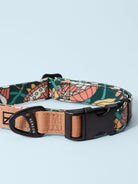Artist Series Dog Collar all-groups