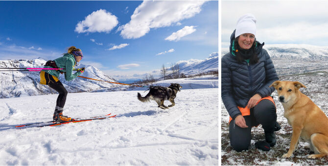 A split-screen lifestyle image showing outdoor winter scenes. The left side shows a person cross-country skiing with a dog on a snowy mountain under a blue sky.