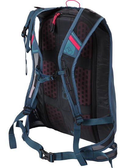 Alpine Ace Ski Backpack: Image 2