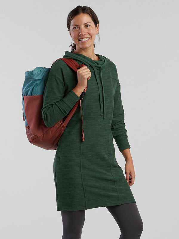 Hibernation Hoodie Dress, , original