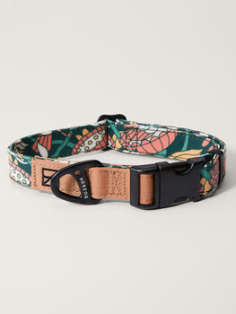 Artist Series Dog Collar
