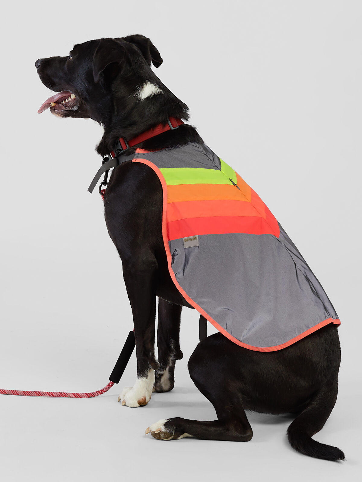 GoFluo Luna Reflective Dog Coat | Title Nine