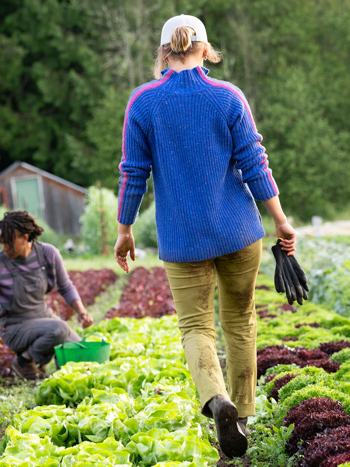 Zip Up Sweater: Groomer by Krimson Klover