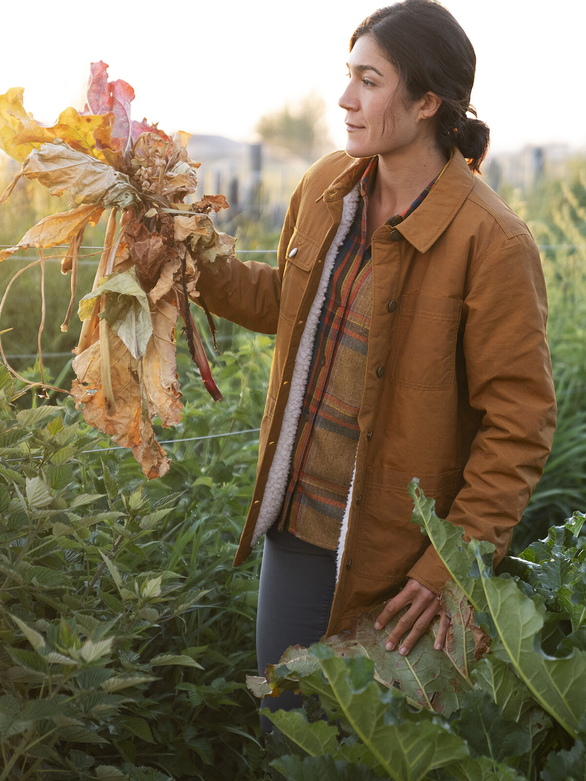 Sherpa Lined Jacket Women's Barn Door | Title Nine