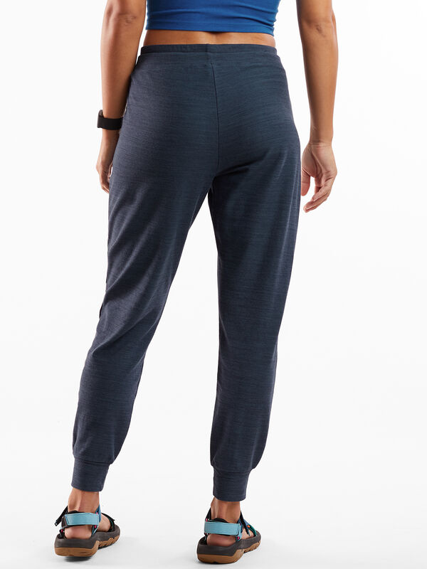 Hibernation Joggers, , original