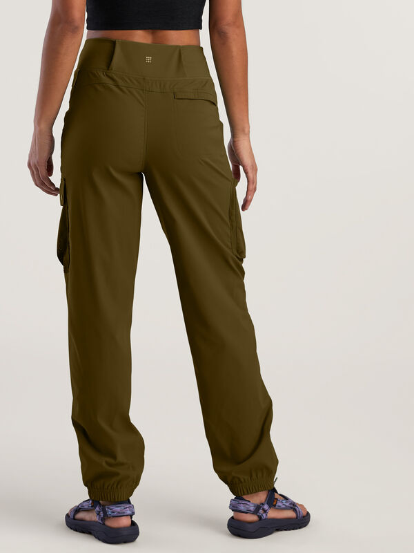 Cordillera Hiking Pants - Petite, , original