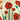 Galleria Trucker Hat - Poppies: Swatch Image TURQUOISE/ROYAL
