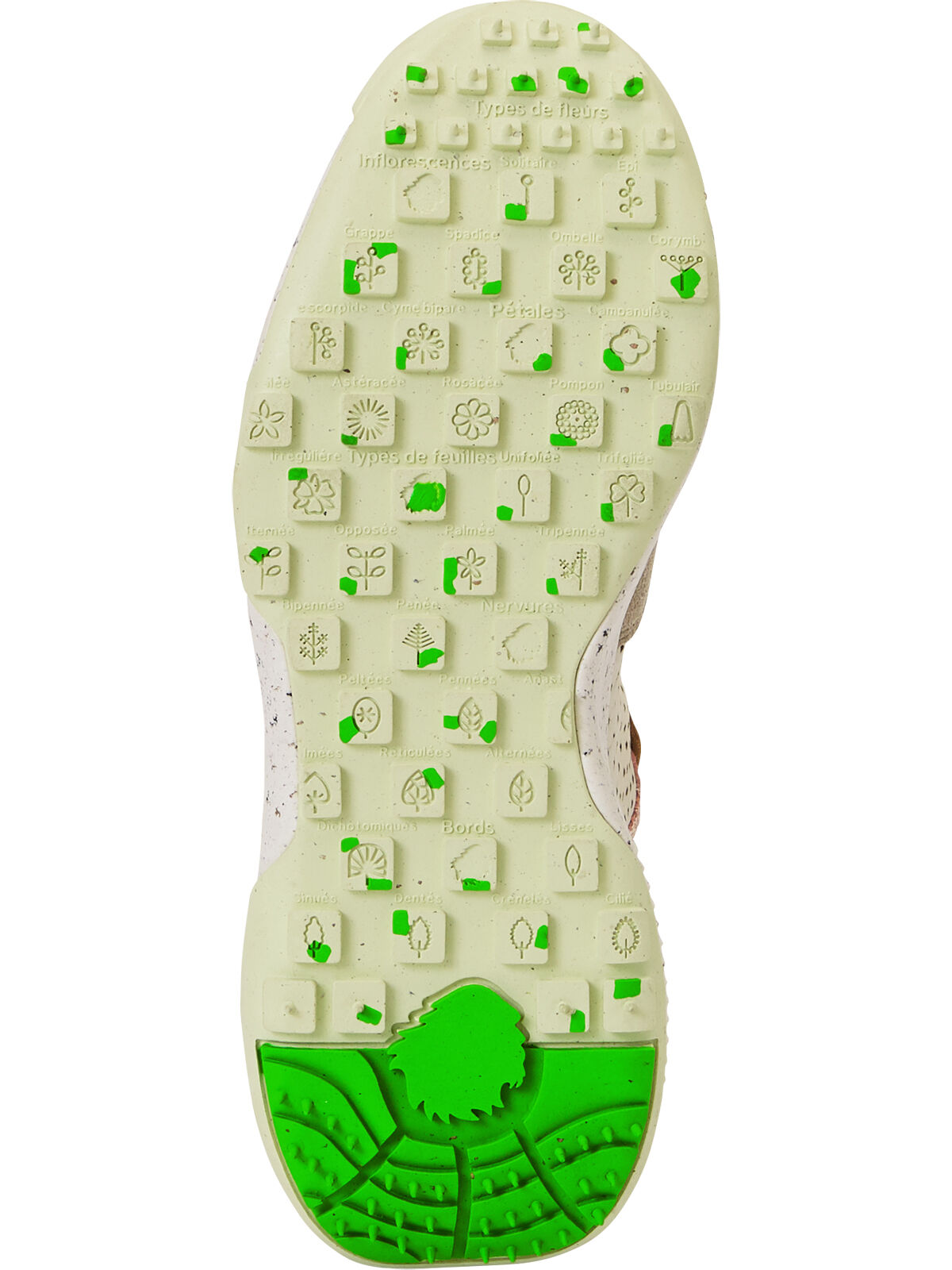Satorisan Chacrona Laser Sneaker Title Nine