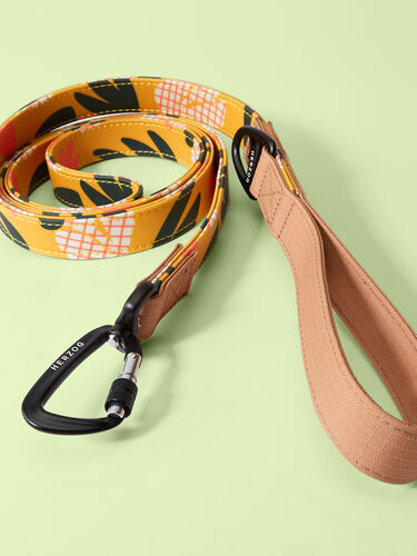 Artist Series Dog Leash