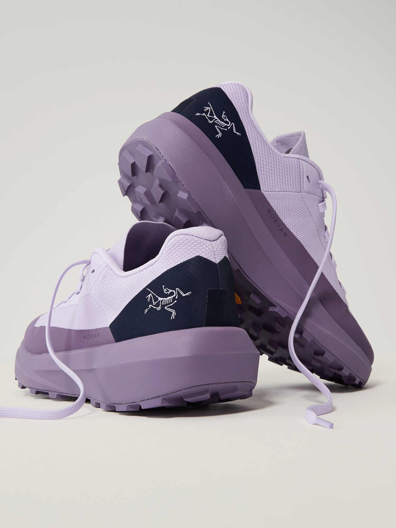 Norvan LD 4 Trail Running Shoes, , original