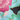 Code Cracker Crop - Jardin, Jardin, swatch