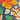 Crusher Joggers, Pacific Blue Tulip Print, swatch
