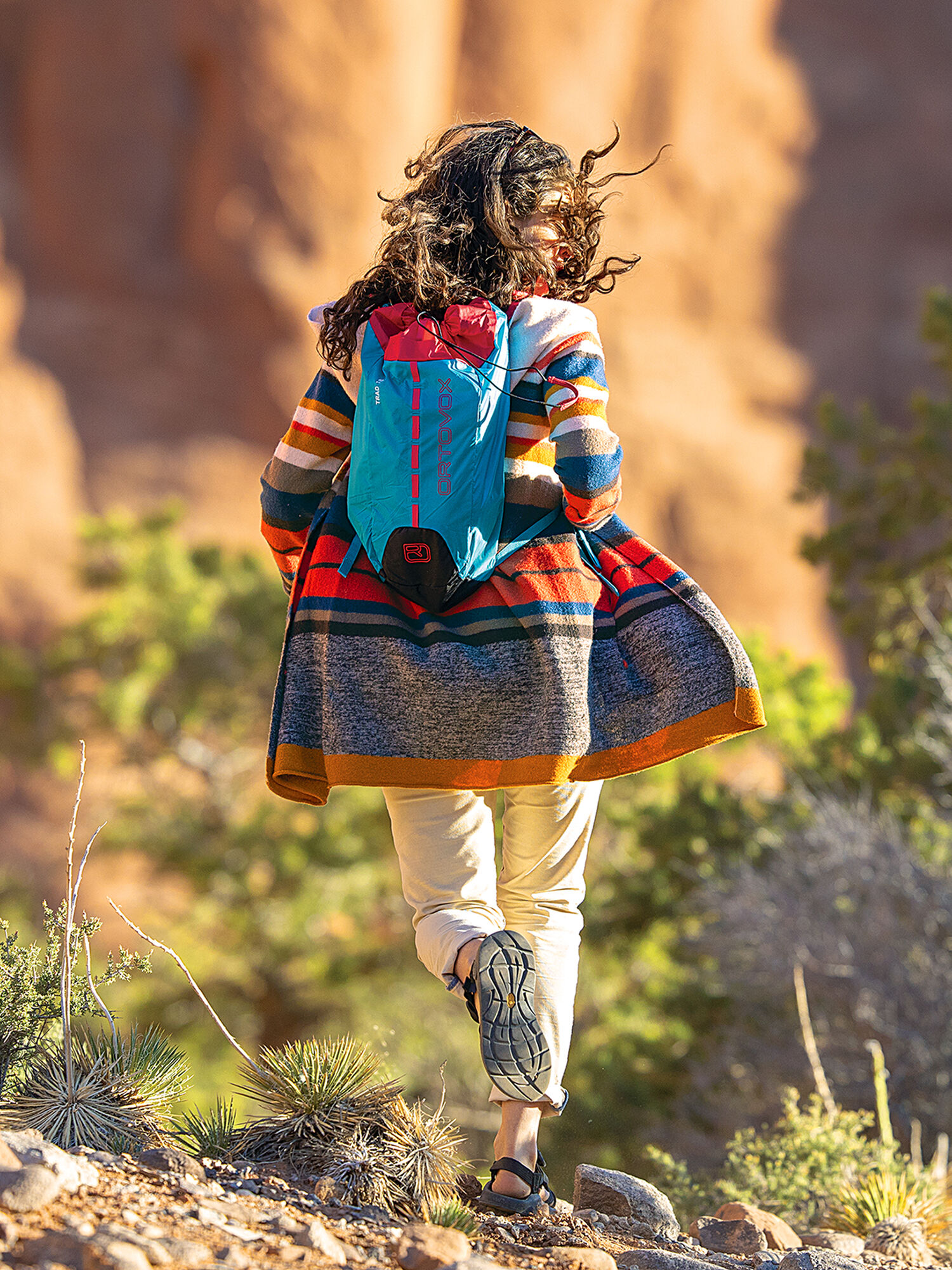Fly Daypack, , model