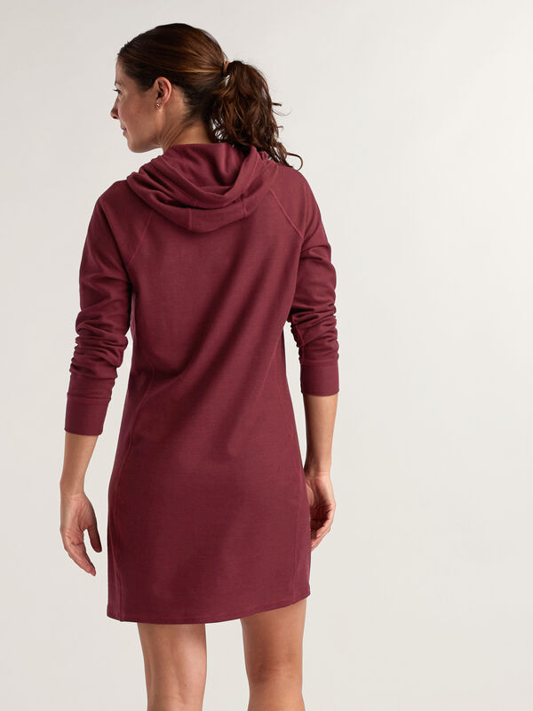 Hibernation Raglan Hoodie Dress, , original