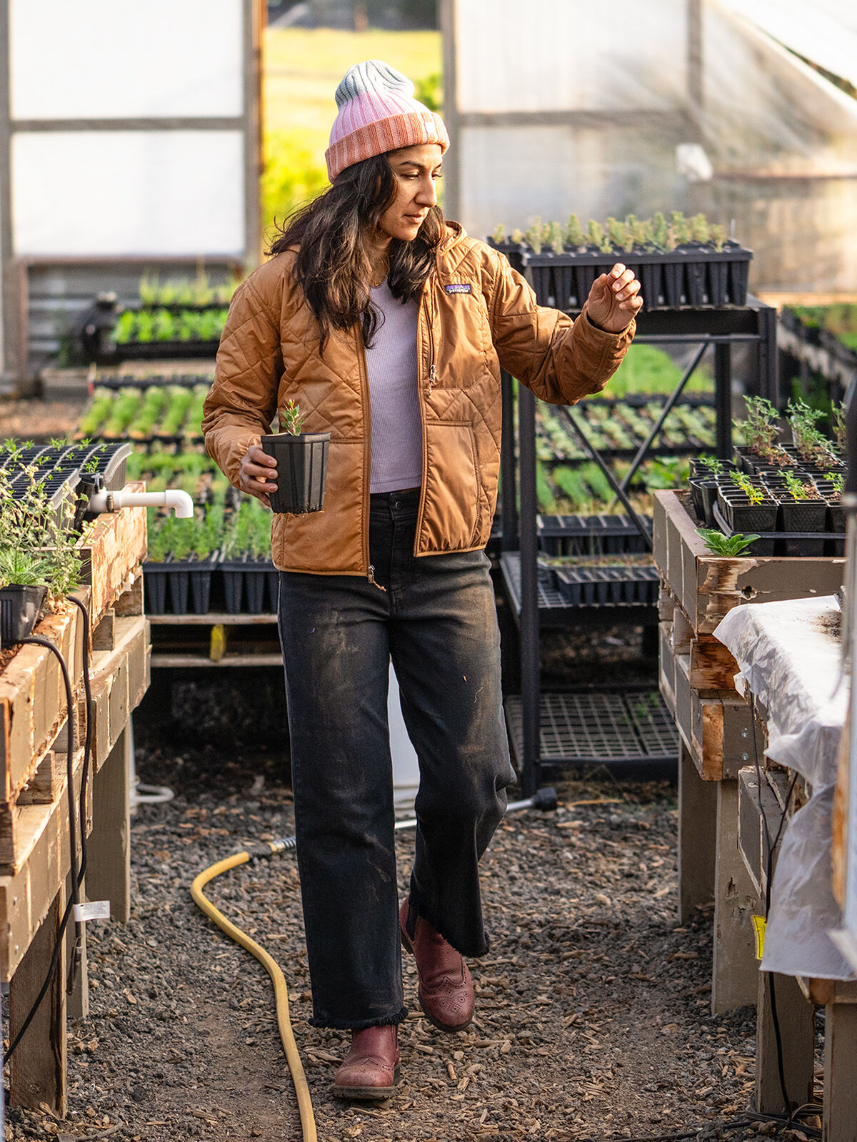 Toad & Co Miraculous Canvas Cutoff Pants