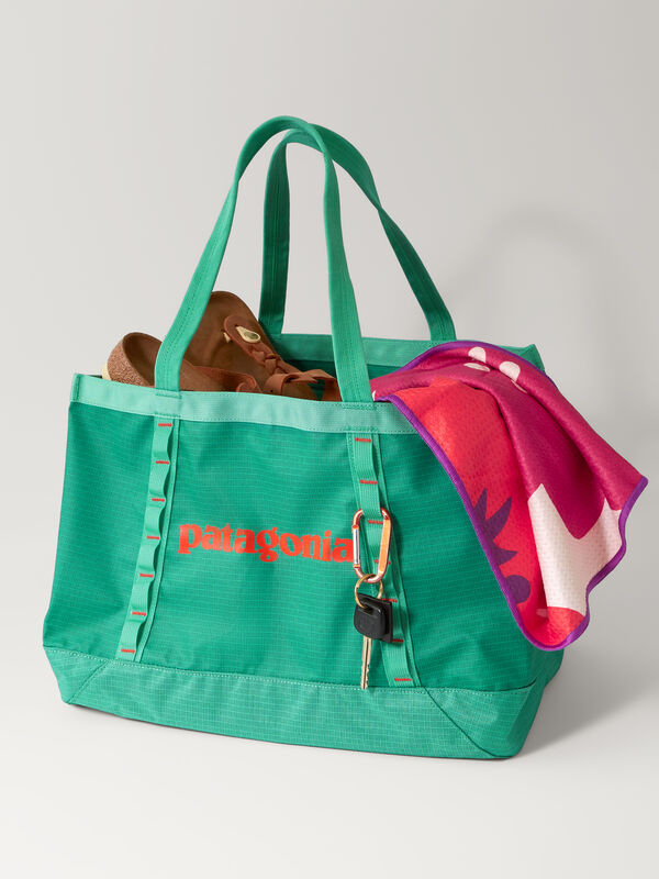 Patagonia Travel Black Hole Tote - 25L