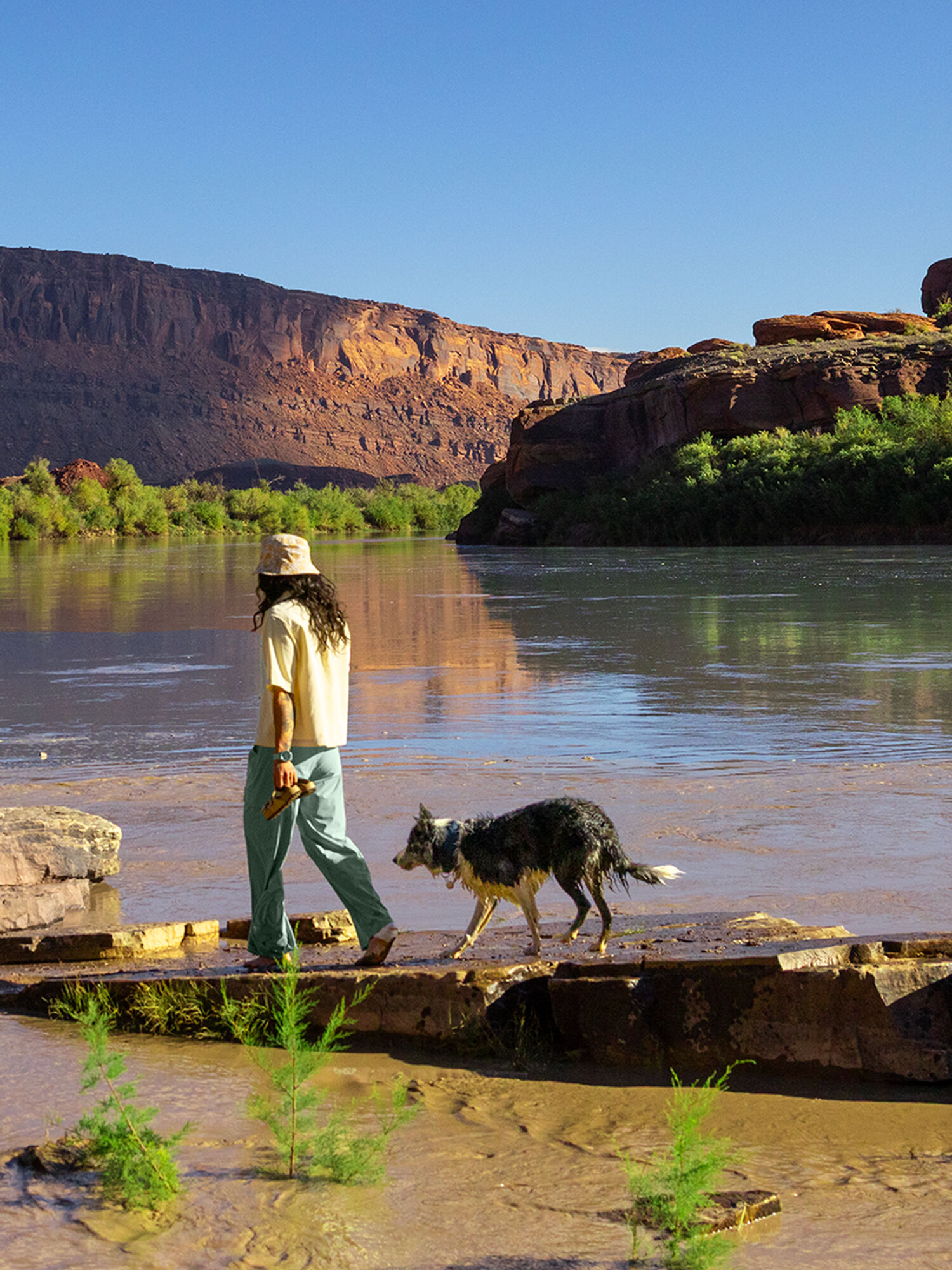 Sesia Short Sleeve Corduroy Shirt, , original