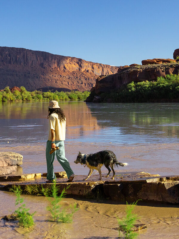 Sesia Short Sleeve Corduroy Shirt, , original