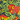 Crusher Adventure Skort Dress, Midnight Fruit Print, swatch