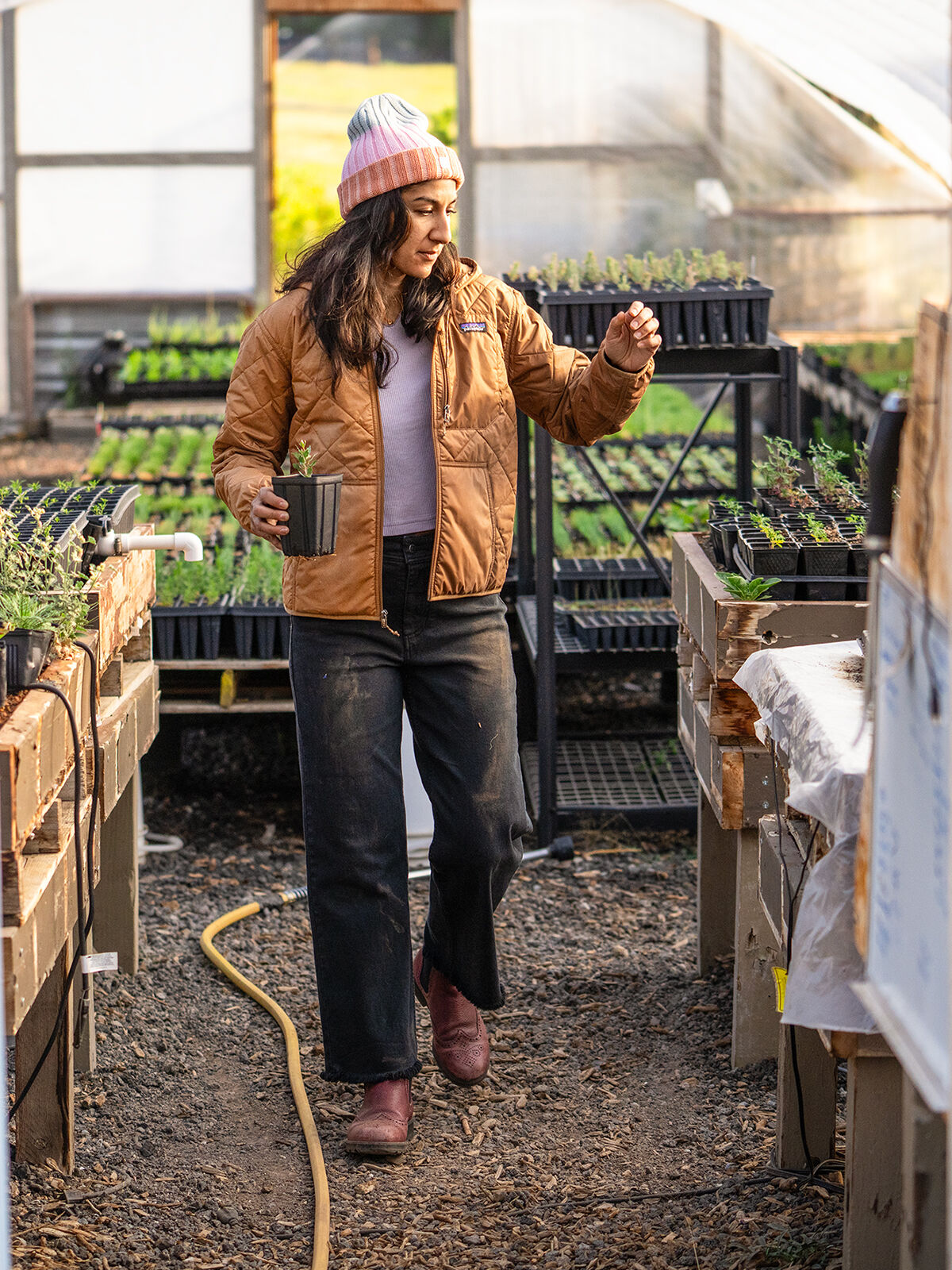 Patagonia Diamond Quilted Bomber Hoodie Jacket | Title Nine