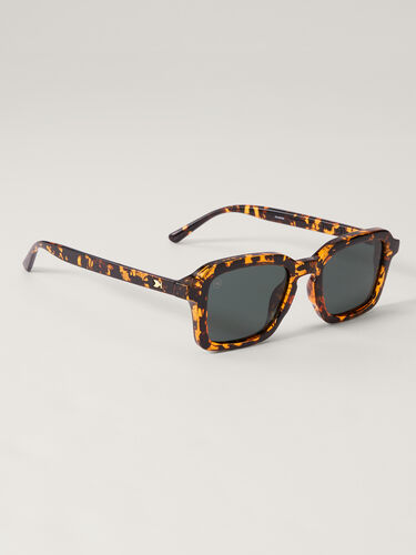 Panoramas Sunglasses