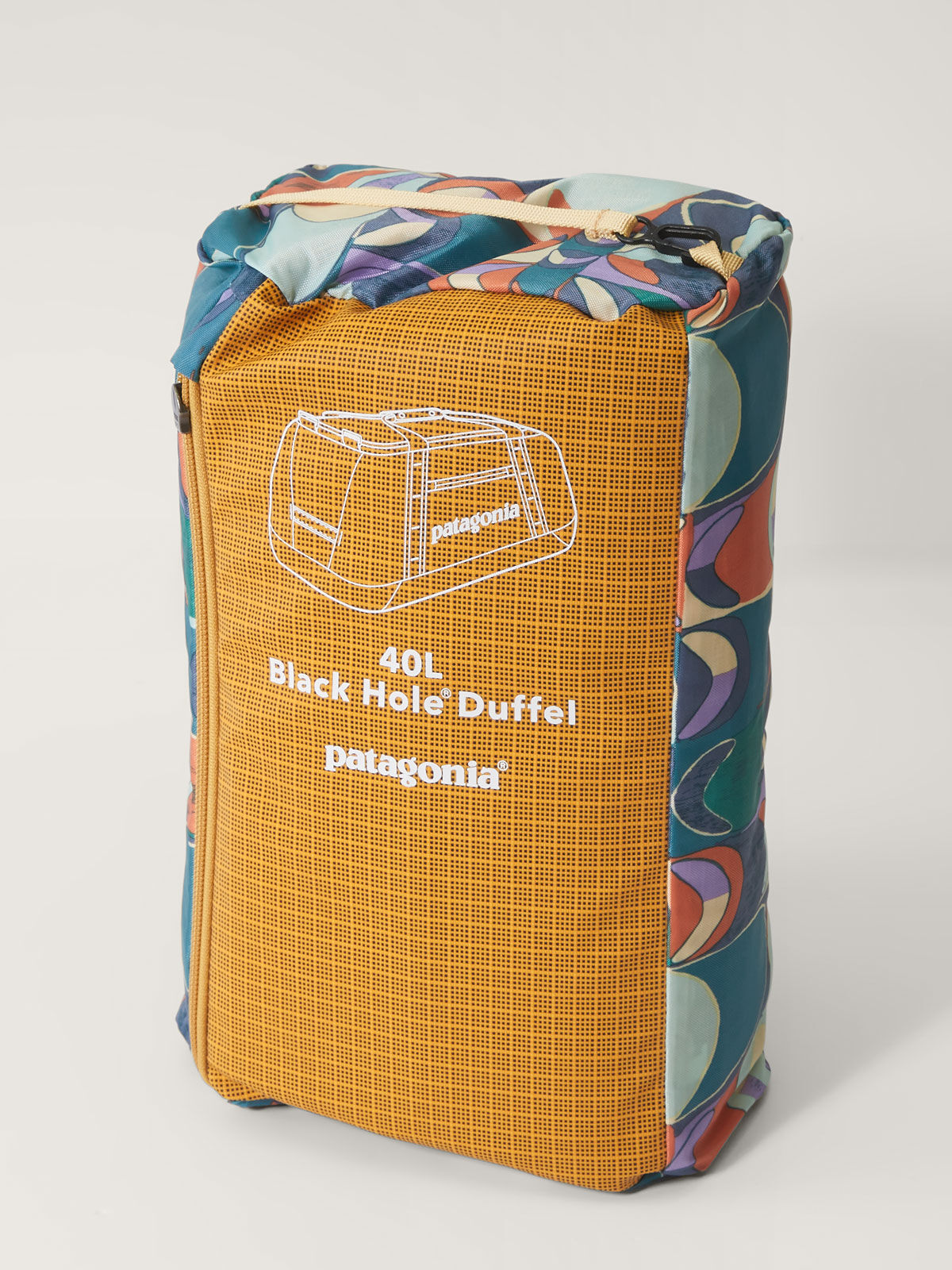 Patagonia Black Hole Duffel - 40L | Title Nine