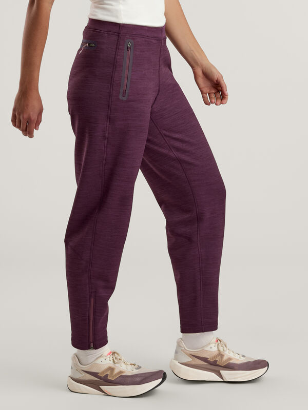 Crash Barrel Pants Petite | Fleece Lined Pants
