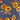 Samba Wide Leg Pants, Blue Shadow Daisy Print, swatch