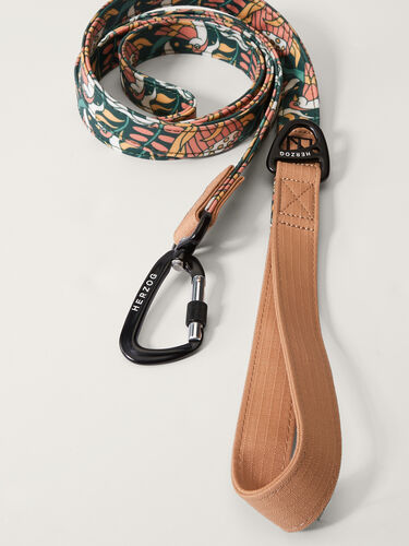 Artist Series Dog Leash