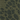 Big B Skort - Fiero, Pacific Pine, swatch