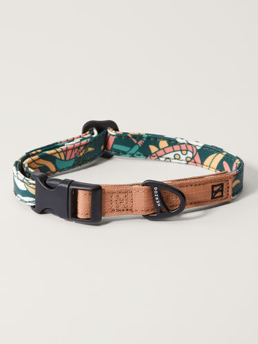 Artist Series Dog Collar