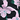 Parker Skort, Black Aquila Bloom, swatch