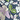Crusher Tiered Midi Skirt, Midnight Tulip Print, swatch