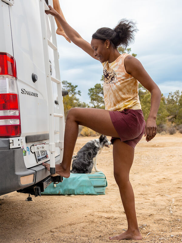 Scout Shorts 3"