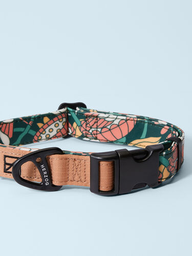 Artist Series Dog Collar