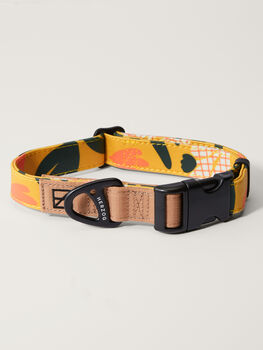 Artist Series Dog Collar