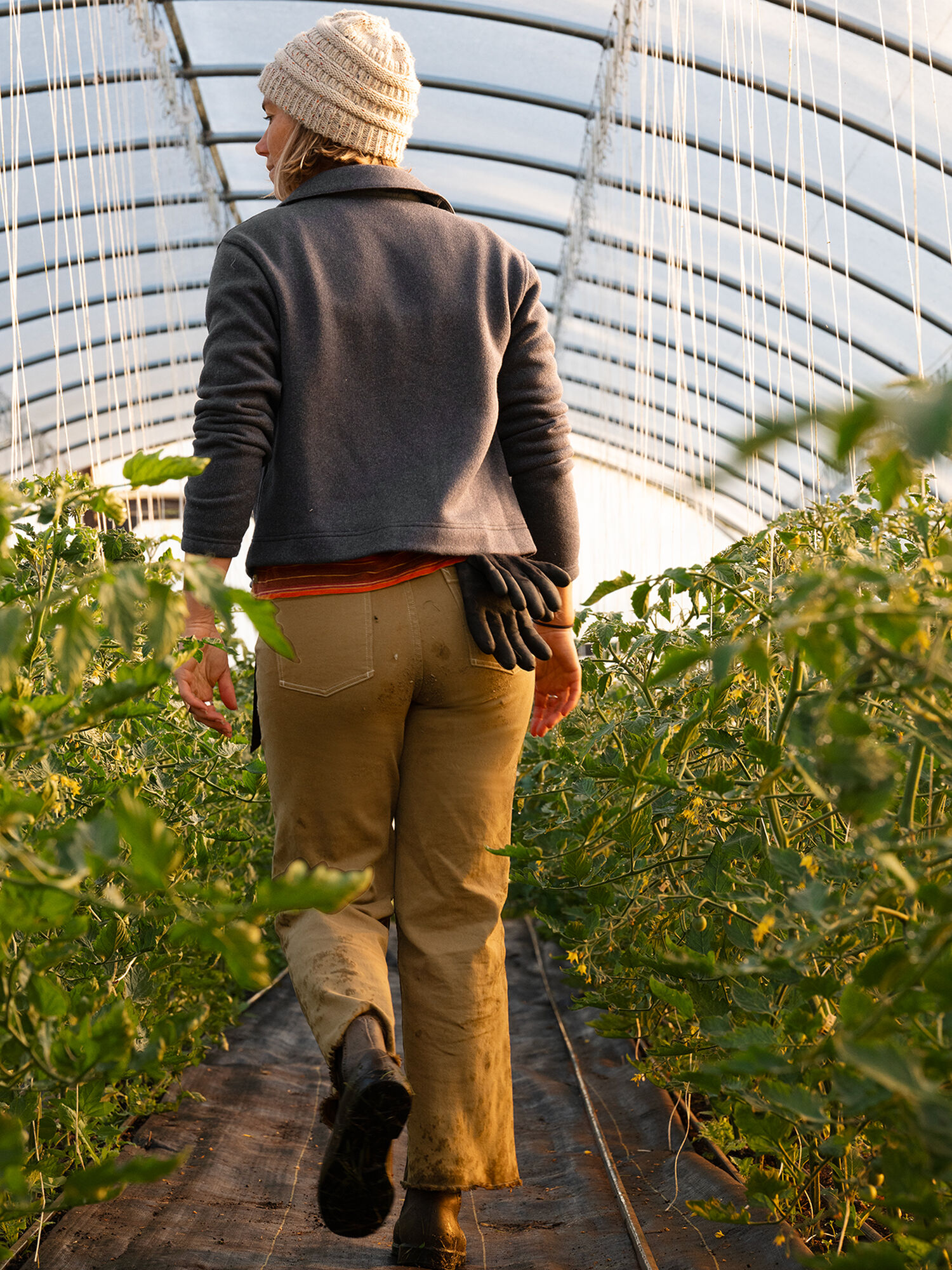 Patagonia Sweater Zipped Chore Jacket, , original