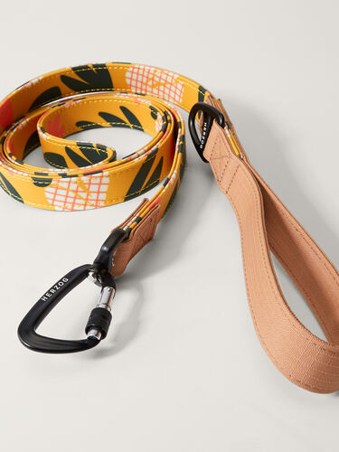 Artist Series Dog Leash