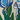 Galleria 7 Panel Hat - Iris Flowers, Teal, swatch