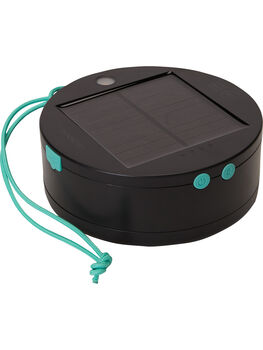 Light It Up Solar String Lights