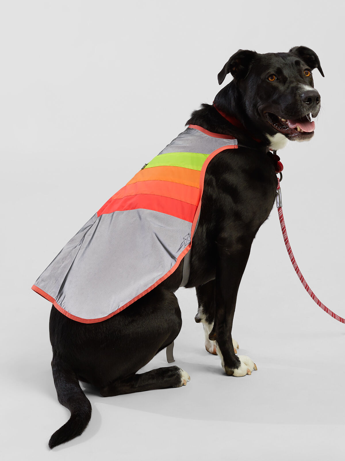Luna Reflective Dog Coat