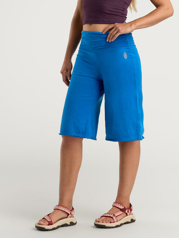 Hot Shot Renewal Shorts, , original