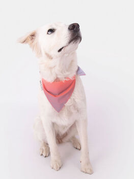 GOFLUO Reflective Dog Bandana