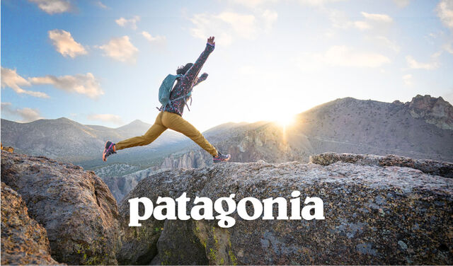 shop patagonia