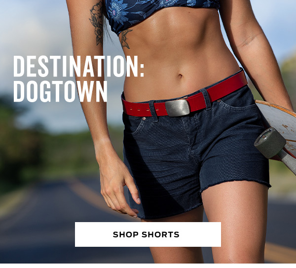 Carve cheap dogtown shorts