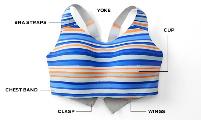 Sports Bra Fitting Guide